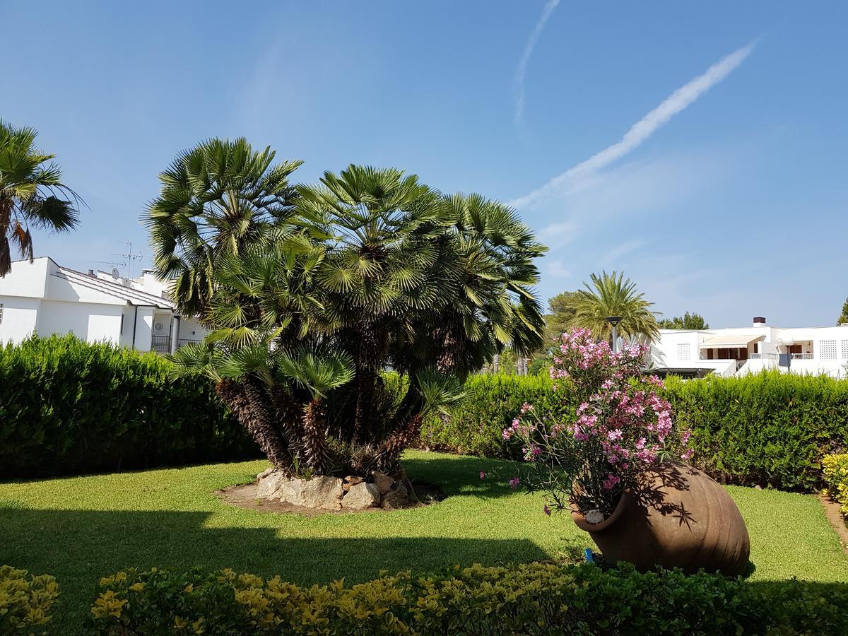 Venecia Apartments Port de Alcudia  Εξωτερικό φωτογραφία
